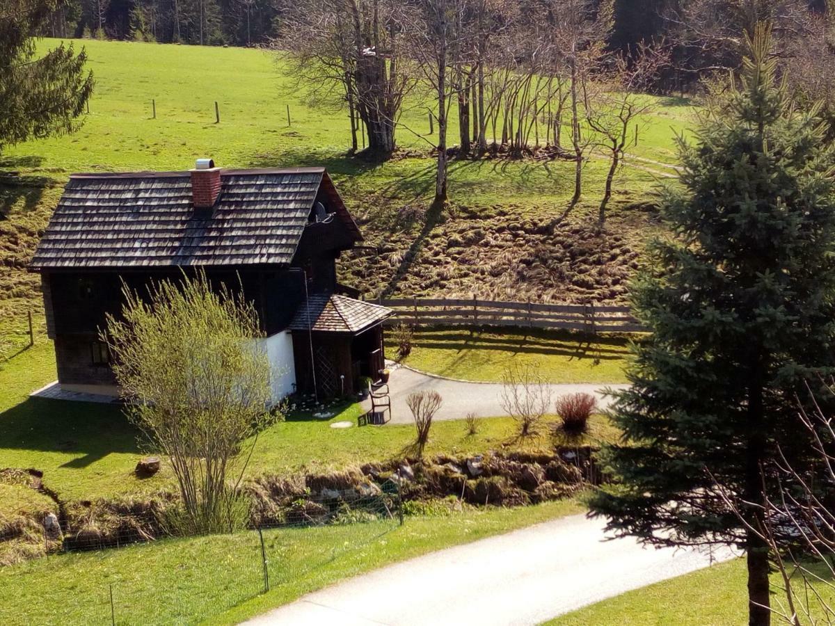 Willa Ferienhaus "Badl" Bad Goisern Zewnętrze zdjęcie